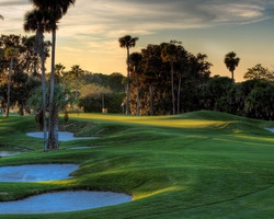 Golf Vacation Package - Palm Harbor Golf Club and Hammock Beach Stay and Play!