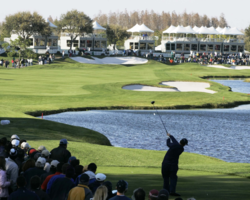 Golf Vacation Package - Tampa Resort Summer Deal for only $220 per person per day!