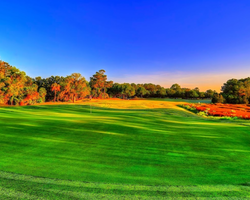 Golf Vacation Package - Historic Charleston Stay & Play from $160 per person, per day