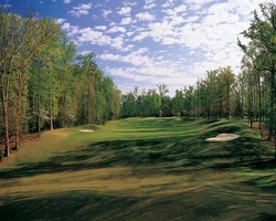 Golf Vacation Package - Golden Horseshoe Golf Club - Green Course