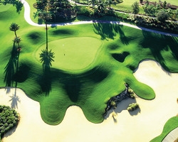 Orlando- GOLF excursion-Reunion Golf Resort - Palmer Course