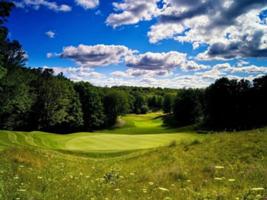 Golf Vacation Package - Premier Golf Course at Treetops Resort